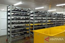 DKP Kabupaten Jayapura: Ikan hasil tangkapan nelayan triwulan I-III 287,96 ton