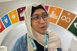 PBB apresiasi diplomasi RI dukung Palestina