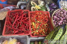 Harga pangan Sabtu, bawang merah naik menjadi Rp30.620 per kg