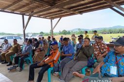 Disbun Kaltim latih kelompok tani Paser  cegah genoderma pada sawit