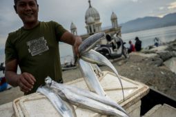 Mendukung swasembada pangan lewat pemanfaatan pangan biru