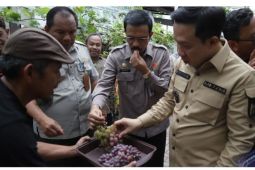 Pj Bupati Pringsewu hadiri bimtek budidaya anggur