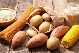 Berikut kiat mencukupi kebutuhan karbohidrat dengan alternatif selain nasi
