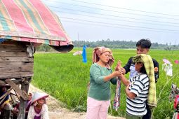 Mahasiswa Unja dirikan desa "safety farming" di Muaro Jambi