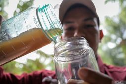 Madu dan kunyit sangat baik redakan sakit lambung