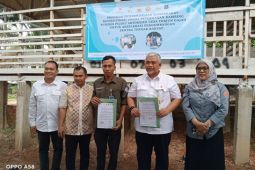 Untuk Pengembangan Usaha Masyarakat, SKK Migas PetroChina Kembali Berikan Bantuan 30 Ekor Kambing PE ke Desa Terjun Gajah