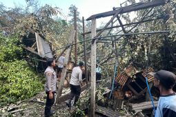 Seorang warga Blitar meninggal dunia terdampak hujan-angin kencang