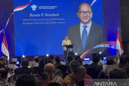 Rosan: Target investasi di 2025 capai 120 juta dolar AS