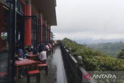 Nikmati sensasi kabut Gunung Gede Pangrango di Istana Panda TSI Bogor