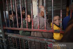 Puluhan anggota parlemen Inggris ajukan skema visa keluarga Gaza
