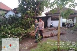 BPBD catat 24 rumah warga di Trenggalek rusak diterjang puting beliung