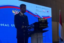 Sergei Tolchenov: RI salah satu mitra utama Rusia di Asia Tenggara dan global