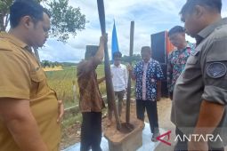 Produksi beras petani Babel naik 13,52 persen