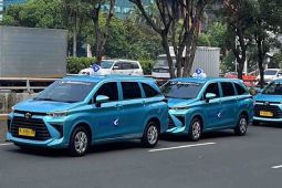 Bluebird catat pendapatan Rp5,04 triliun selama 2024