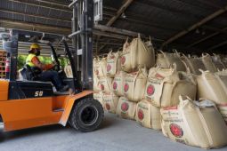 Indocement kuasai 29,7% pangsa pasar semen di Indonesia