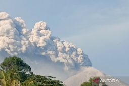 Masyarakat korban erupsi Gunung Lewotobi diimbau mau direlokasi