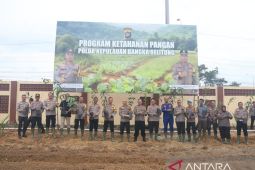 Polda Babel canangkan lahan 3 hektare dukung program ketahanan pangan