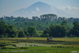 Penghapusan piutang macet petani