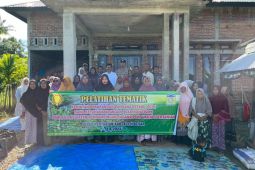 Distan Aceh Besar tingkatkan gizi keluarga lewat pangan lestari