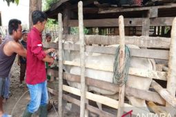 Pemkab Parigi: SPR penting untuk memperkuat sektor peternakan daerah