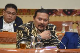 Anggota DPR minta polisi usut artis promosikan judi daring