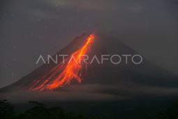 Gunung Merapi pada Jumat luncurkan 11 kali guguran lava sejauh 1,6 km
