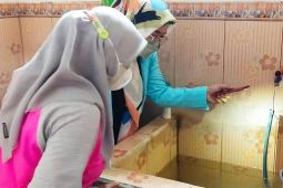 Waspada potensi demam berdarah di musim hujan