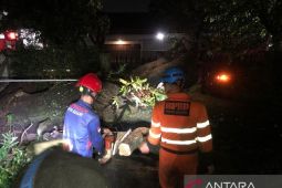 BPBD Kota Bogor menangani 70 bencana dalam 10 hari terakhir