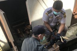 BKHIT Maluku musnahkan unggas hasil sitaan di pelabuhanYos Sudarso Ambon