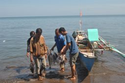 Pakar: Industri migas potensi mesin ekonomi baru warga pesisir