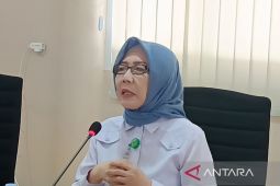 KLH: Pengawasan koherensi optimalkan upaya  penyelamatan lingkungan