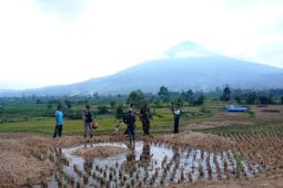 BPBD Garut minta warga waspadai bahaya petir saat musim hujan