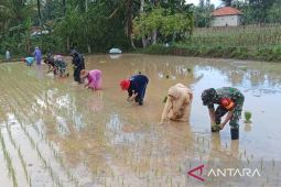 Kodim kerahkan anggota untuk sukseskan program swasembada pangan