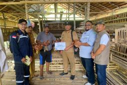 Dukung ketahanan pangan, DSLNG salurkan 200 ekor bibit ayam petelur
