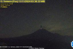 Semeru kembali alami erupsi dengan letusan setinggi 1 km