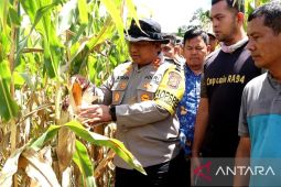 Wujudkan ketahanan pangan, Polres Abdya siapkan 20 hektare lahan tanam jagung