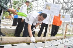 Wamendes minta warga di Bekasi siapkan potensi pangan tunjang makan gratis