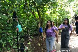 Joget Patuk Ayam kembali menggema, usai penangguhan penahanan dikabulkan