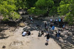 FPIK Unpatti tanam 70 anakan mangrove upaya lindungi pesisir pantai