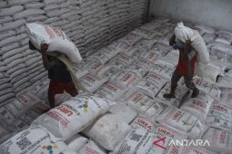 Pemerintah sederhanakan alur distribusi pupuk subsidi untuk petani