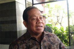 Pemprov Bali sebut pemerintah pusat akan tentukan lokasi Bandara Bali Utara