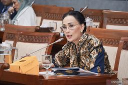 Anggota DPR dukung evaluasi  penggunaan senjata api di TNI