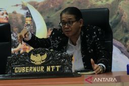 Gibran dijadwalkan tinjau korban erupsi Gunung Lewotobi