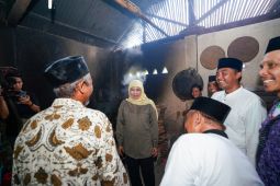 Khofifah siap fasilitasi replanting kelapa hibrida