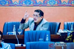 Legislator: Perlu kajian mendalam rencana konsolidasi aset Himbara