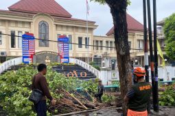 BPBD Lumajang imbau masyarakat waspadai cuaca ekstrem selama sepekan