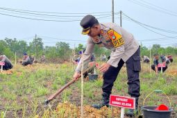 Polres Bangka Selatan tanam 1000 pohon Cemara dukung program "Ketahan Bumi Serumpun Sebalai"