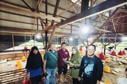 Kelompok Tani Murung Raya percontohan program kandang penyangga budidaya ayam