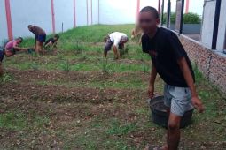 LPKA Medan siapkan lahan untuk melatih anak binaan bercocok tanam sayuran