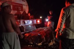 BPBD Trenggalek imbau warga waspadai potensi longsor jalur lintas tepi tebing